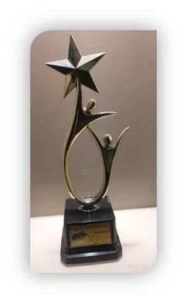 Recognition